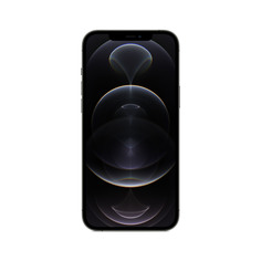 Смартфон Apple iPhone 12 Pro Max 256GB Graphite (MGDC3RU/A)