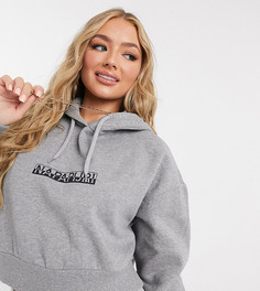 Серое укороченное худи Napapijri Box – эксклюзивно на ASOS-Серый