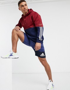 Худи бордового/темно-синего цвета adidas Originals-Красный