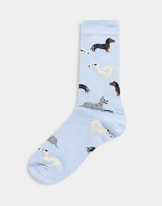 Носки длиной до щиколотки со сплошным принтом собак ASOS DESIGN-Многоцветный