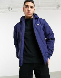 Синяя куртка Dickies New Sarpy-Голубой