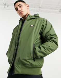 Зеленая куртка Dickies New Sarpy-Зеленый