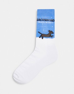 Спортивные носки с надписью "dachshund through the snow" ASOS DESIGN-Многоцветный