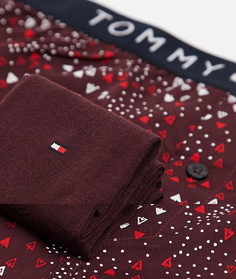 Красные боксеры и носки с логотипом Tommy Hilfiger-Красный