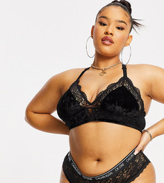 Черные кружевные трусы Calvin Klein Plus Size-Черный