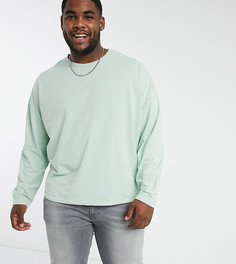 Oversized-лонгслив выбеленного зеленого цвета ASOS DESIGN Plus-Зеленый