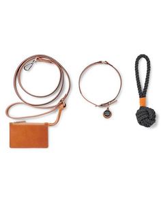 Набор Поводок/Ошейник Shinola