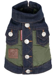 Dsquared2 куртка для собаки из коллаборации с Poldo Dog Couture