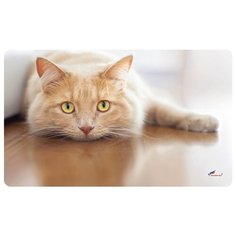 Ковер Shahintex Spring Photoprint SH P125, размер: 0.75х0.45 м, бежевый/коричневый