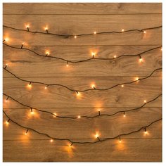 Гирлянда NEON-NIGHT Твинкл Лайт, 25 LED, 400 см, 25 ламп, теплый белый/зеленый провод
