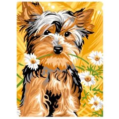 Цветной Картина по номерам "Йоркширский терьер с ромашками" 30х40 см (EX5256)