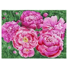 Белоснежка Картина по номерам "Июньское утро" 30х40 см (337-AS)