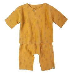 Комплект одежды Сонный Гномик размер 68, горчица с веточками