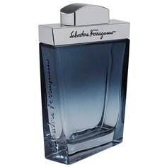 Туалетная вода Salvatore Ferragamo Subtil pour Homme, 100 мл