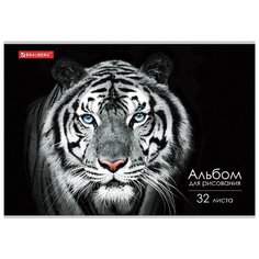 Альбом для рисования BRAUBERG Тигр 29.7 х 21 см (A4), 100 г/м², 32 л.