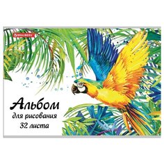Альбом для рисования BRAUBERG Попугай 29.7 х 21 см (A4), 100 г/м², 32 л.