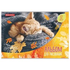 Альбом для рисования BRAUBERG Котята 29.7 х 21 см (A4), 100 г/м², 32 л.