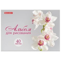 Альбом BRAUBERG Прекрасные цветы 28.5 х 20.2 см, 100 г/м², 40 л.