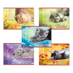 Альбом для рисования Hatber Котята 29.7 х 21 см (A4), 100 г/м², 20 л.