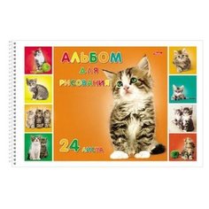 Альбом для рисования Hatber Милые котята 29.7 х 21 см (A4), 100 г/м², 24 л.