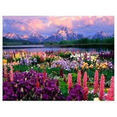 Рыжий кот картина по номерам Альпийский пейзаж 40х50 см (Х-6850)