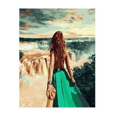 Paintboy Картина по номерам "Следуй за мной. Игуасу" 40х50 см (GX21781)