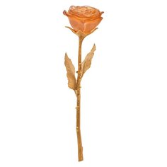 Цветок розы Eternelle Daum