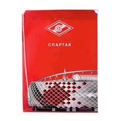 Сумка пакет Стадион Spartak