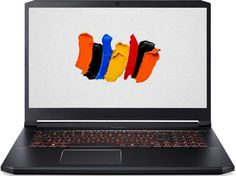Игровой ноутбук Acer ConceptD 5 CN517-71-74N8 (NX.C51ER.001)