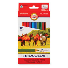 Карандаши цветные утолщенные KOH-I-NOOR Triocolor трехгранные, 12 цветов
