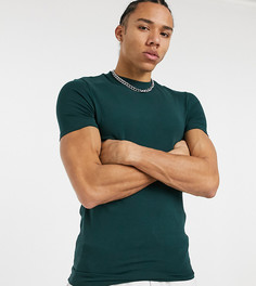 Зеленая обтягивающая футболка из органического хлопка ASOS DESIGN Tall-Зеленый