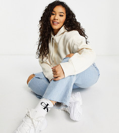 Кремовый свитшот с логотипом спереди Calvin Klein Jeans Plus