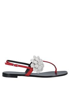 Вьетнамки Giuseppe Zanotti