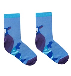 Носки MasterSocks