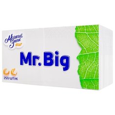 Салфетки Мягкий знак Mr.Big 24 х 24 см, 250 шт.