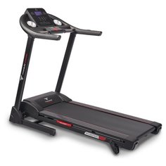 Электрическая беговая дорожка Titanium Masters Physiotech TDM