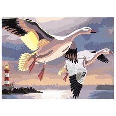 Остров сокровищ картина по номерам Гуси 29х39.5 см (661633)