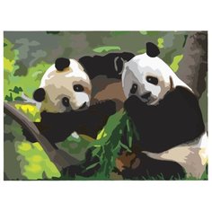 Остров сокровищ картина по номерам Панды 29х39.5 см (661621)