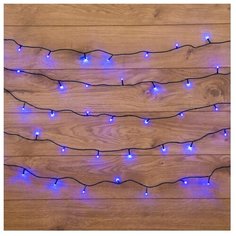 Гирлянда NEON-NIGHT 303-053, синий/зеленый провод