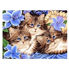 Paintboy Картина по номерам "Котята в синих цветах" 30х40 см (EX5689)