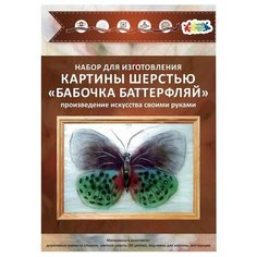 Цветной Картина шерстью Бабочка Баттерфляй 20х30 см (SH031)