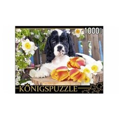 Пазл Рыжий кот Konigspuzzle Щенок спаниеля (ГИК1000-8238), 1000 дет.