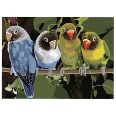 Остров сокровищ картина по номерам Попугаи 29х39.5 см (661625)