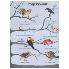 Рахван Д. "Удивительные животные. Самые-самые" Machaon