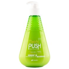 Зубная паста Hanil Meichi Push, фруктовая мята, 300 г