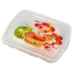 Ар-Пласт Контейнер двухсекционный 1 л арбуз