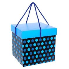 Коробка подарочная РЕМЕКО Горошек 20 x 20 x 20 см голубой