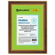 Фоторамка BRAUBERG HIT4 21x30 см красное дерево