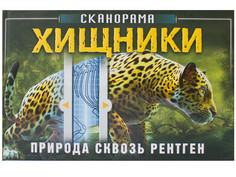 Пособие Мозаика-Синтез Сканорама. Природа сквозь рентген. Хищники МС11798