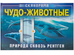 Пособие Мозаика-Синтез Сканорама. Природа сквозь рентген. Чудо-животные МС11799